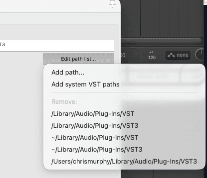Edit path list dropdown listing VST plugin paths, including ~/Library/Audio/Plug-Ins/VST3